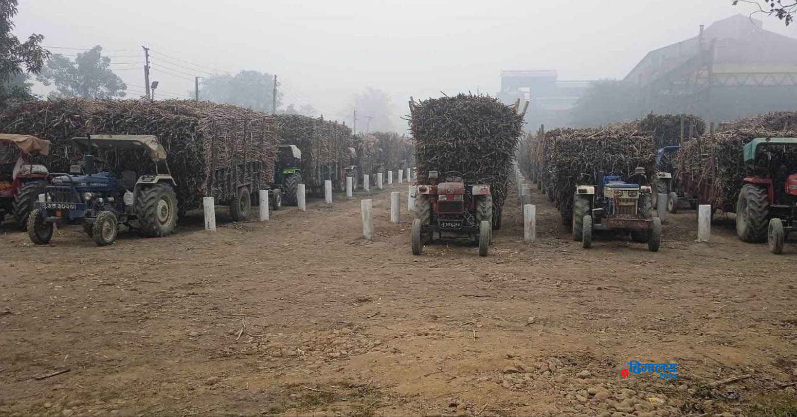 बागमती चिनी मिलले उखु किसानलाई दुई क्वीन्टलका दरले थप रकम दिने