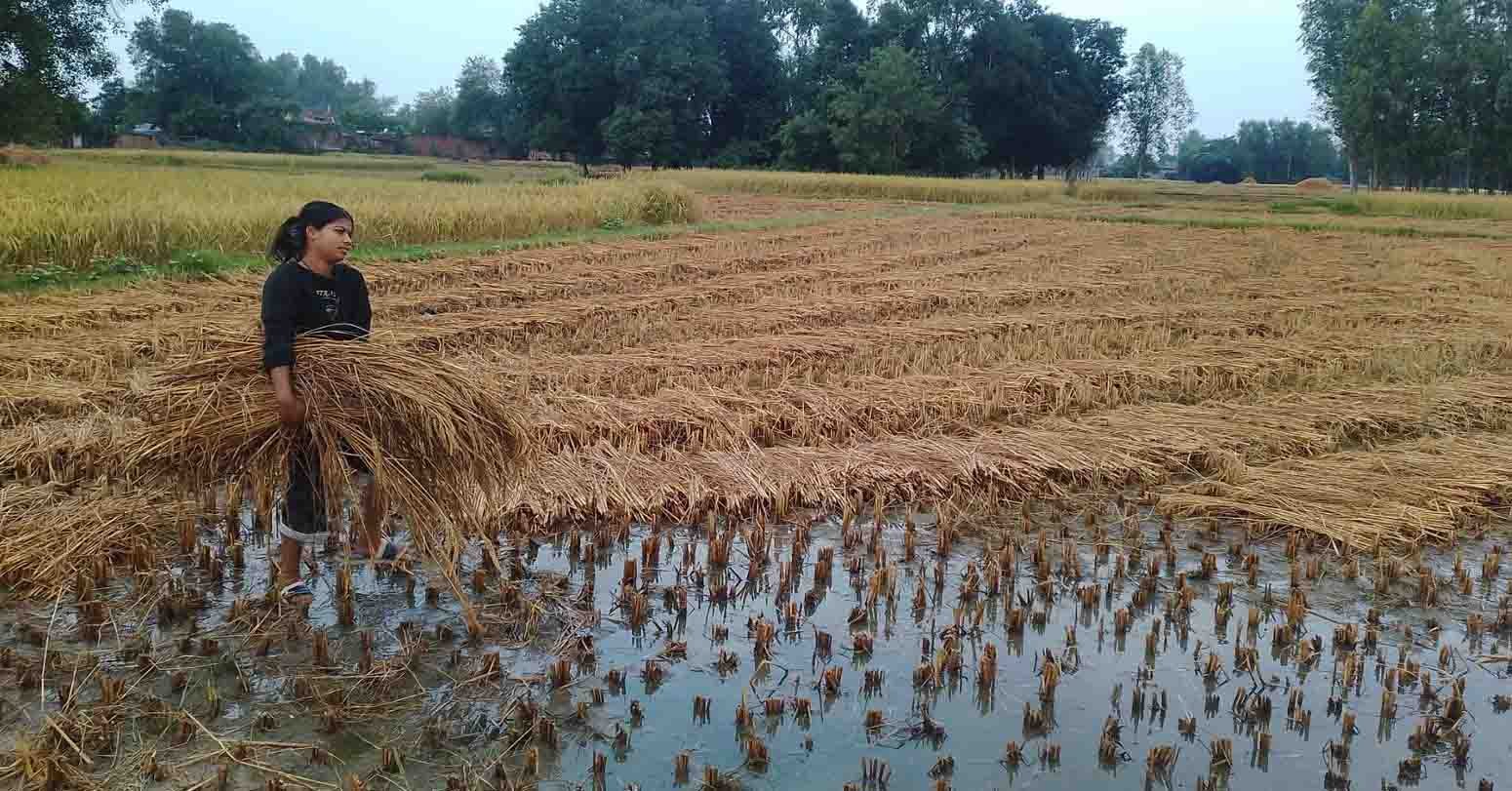 बेमौसमी…