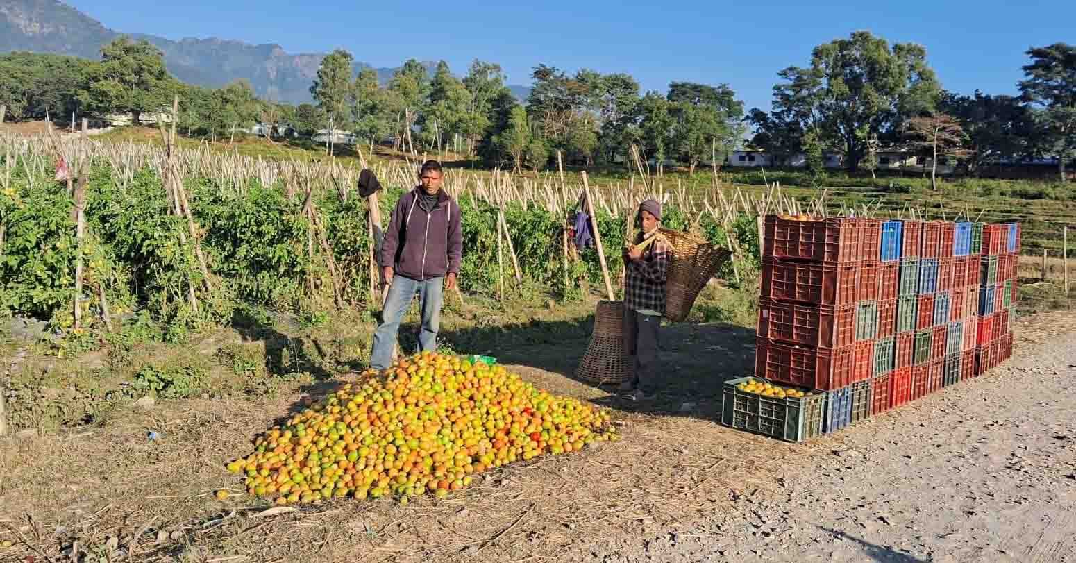 गोलभेँडा…